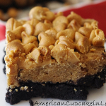 Dark Chocolate Peanut Butter Brownies