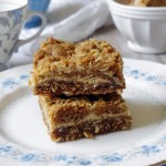 Oat & Coconut Bars
