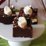 Mocha Chocolate Fudge