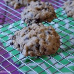 Lactation Cookies