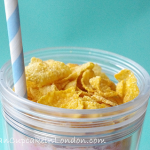 Raspberry Cornflake Breakfast Smoothie