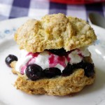 Vanilla Bean Blueberry Shortcakes