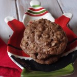 XXX Chocolate Chip Cookies