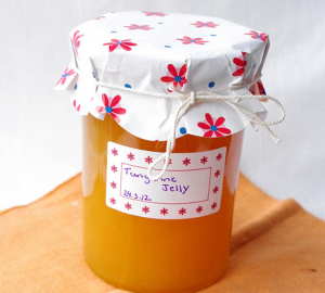 Tangerine Jelly