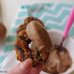 Vitamix Banana Nutella Ice Cream