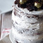 Chocolate Cherry Kirsch Cake