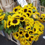 Coulmbia Road, London