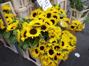 Coulmbia Road, London