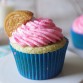 Cotton Candy Oreo Cupcakes